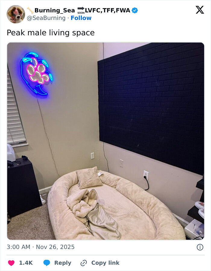 76 Unique Bachelor Pads That Might Make You Laugh, Cringe, And Maybe Take Notes