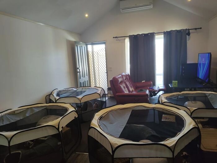 76 Unique Bachelor Pads That Might Make You Laugh, Cringe, And Maybe Take Notes