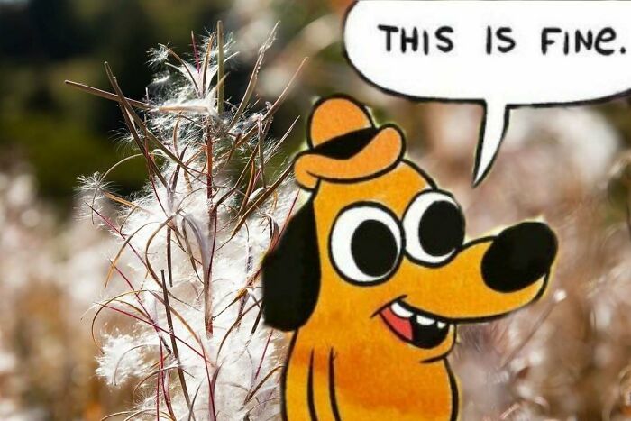 77 Hilarious Memes That Sum Up What It&rsquo;s Like Living In Alaska