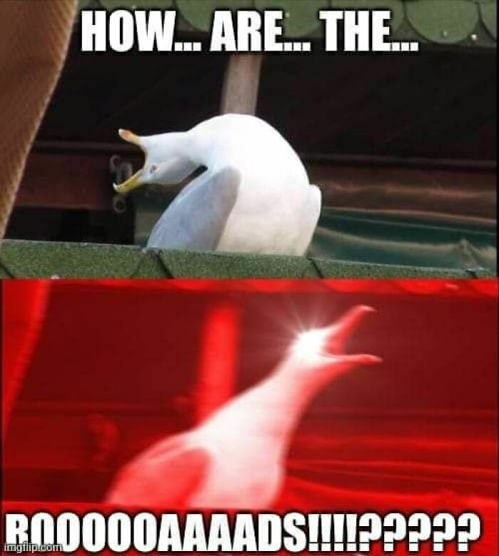 77 Hilarious Memes That Sum Up What It&rsquo;s Like Living In Alaska