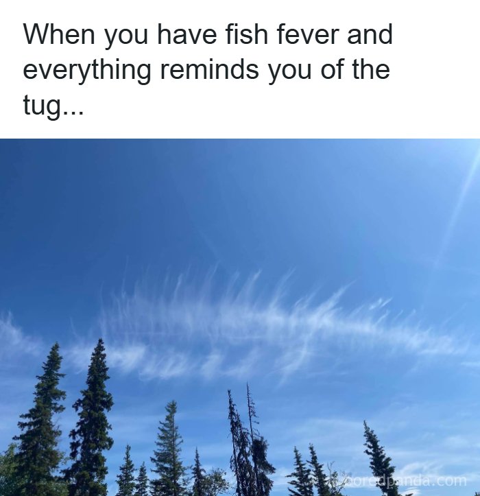 77 Hilarious Memes That Sum Up What It&rsquo;s Like Living In Alaska