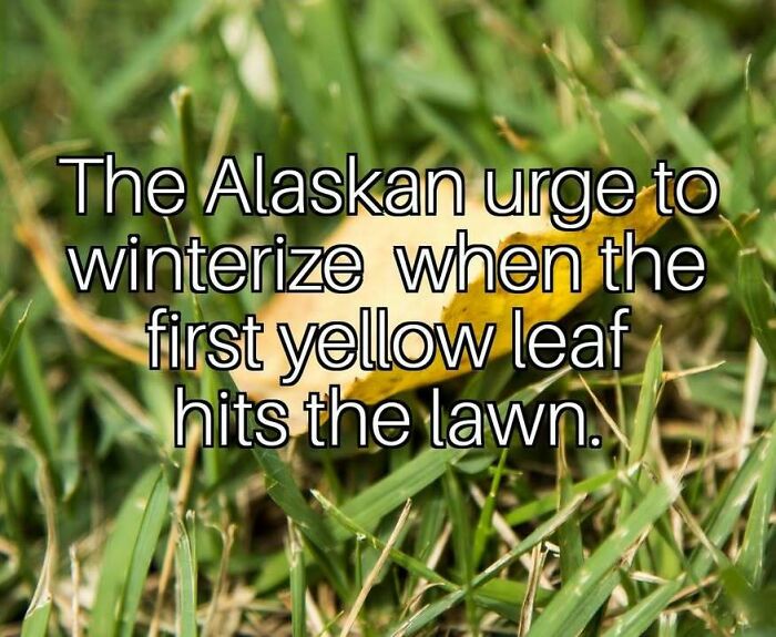 77 Hilarious Memes That Sum Up What It&rsquo;s Like Living In Alaska