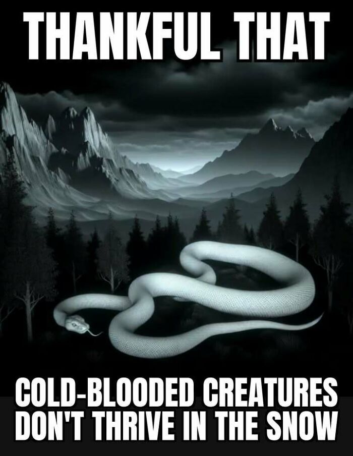 77 Hilarious Memes That Sum Up What It&rsquo;s Like Living In Alaska