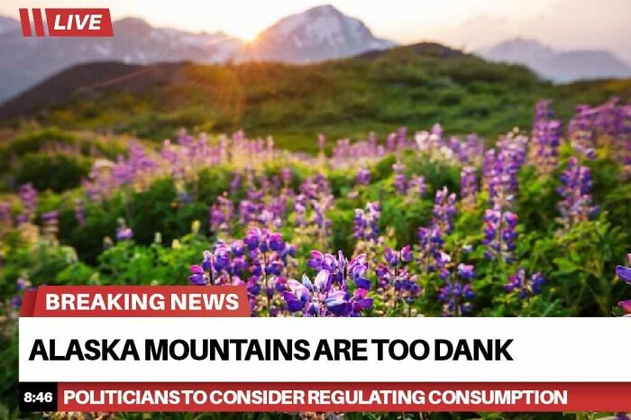 77 Hilarious Memes That Sum Up What It&rsquo;s Like Living In Alaska