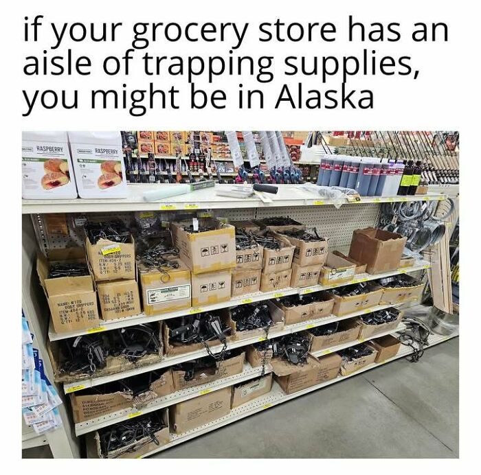 77 Hilarious Memes That Sum Up What It&rsquo;s Like Living In Alaska
