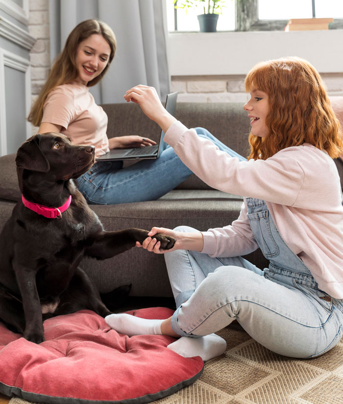 &ldquo;Mortified And Embarrassed At The Same Time&rdquo;: 67 Entitled And Trashy Parents That Deserved To Be Shamed