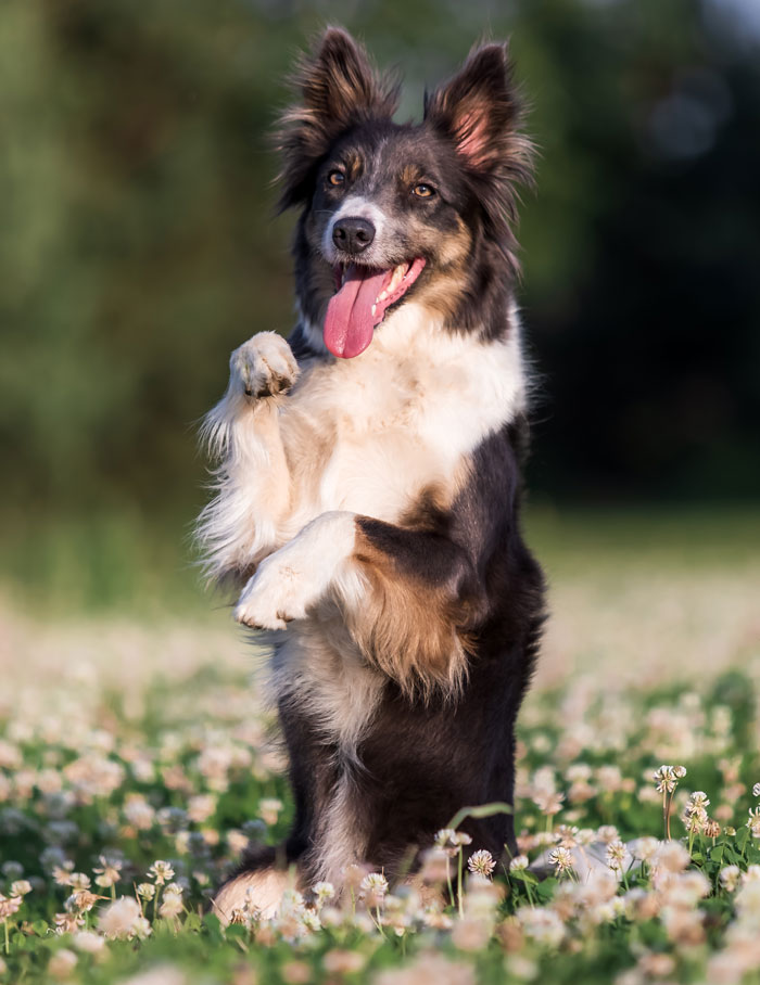 &ldquo;Mortified And Embarrassed At The Same Time&rdquo;: 67 Entitled And Trashy Parents That Deserved To Be Shamed