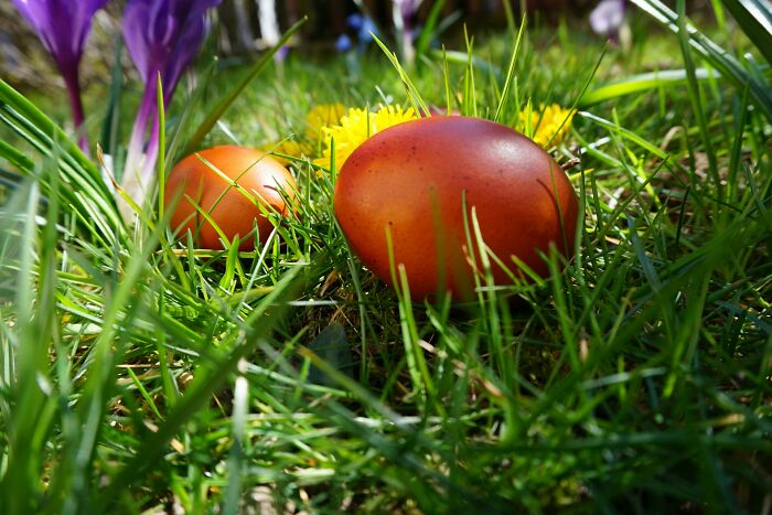 69 Times People Insulted Someone In Just The Right Way