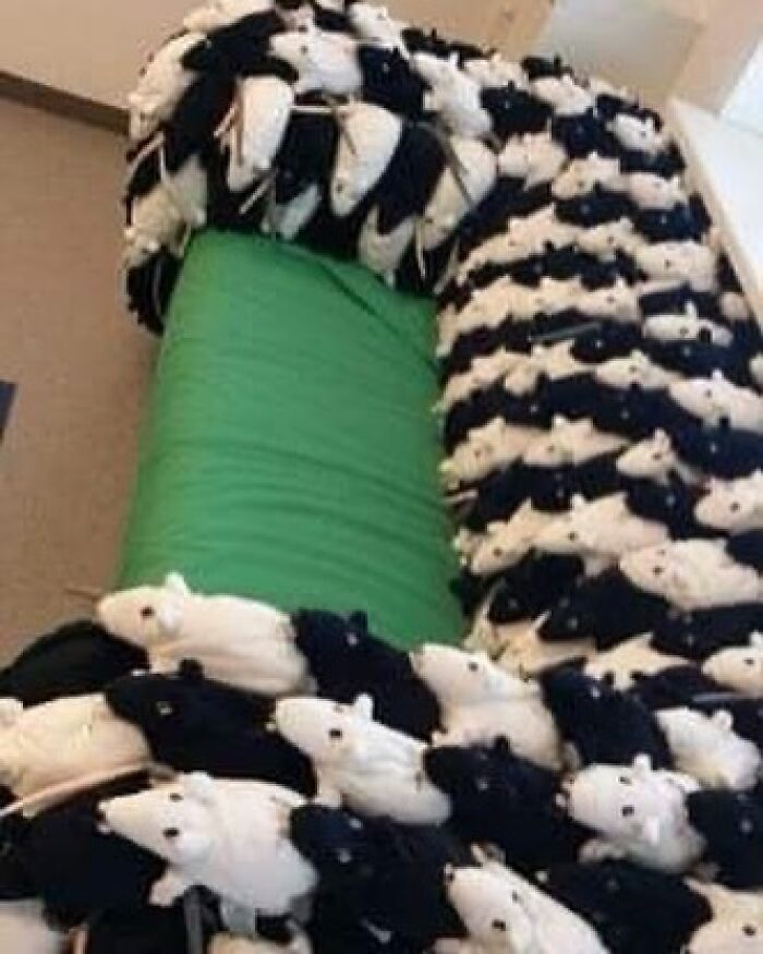 49 Cursed Images That Confuse, Creep, And Amuse In Equal Measure