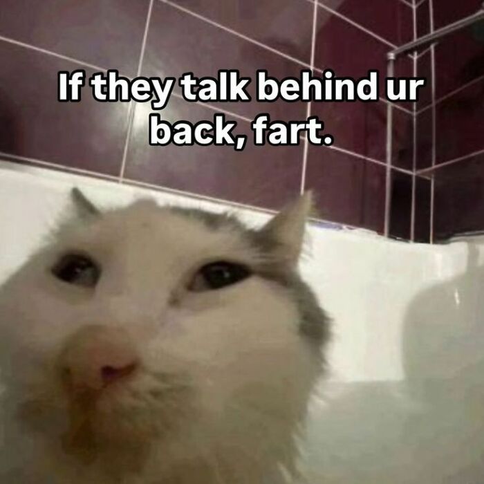 “Forbidden Dumplings”: 51 Unhinged Memes That Might Make Your Inner Goblin Laugh