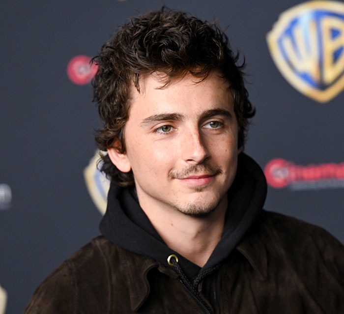 Timothée Chalamet Slammed By Fans Over “Jerk” Move Toward Tina Fey