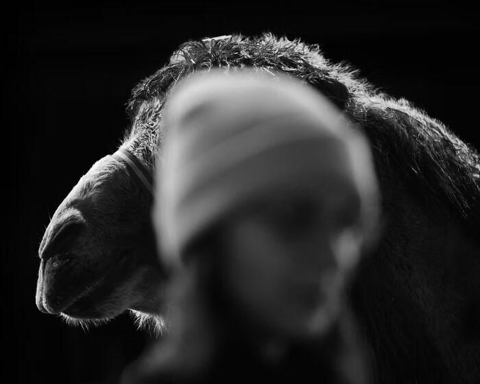 25 Stunning Street Scenes From The Artist Gallery&rsquo;s 2026 Photography Contest That Find Beauty In Ordinary Moments