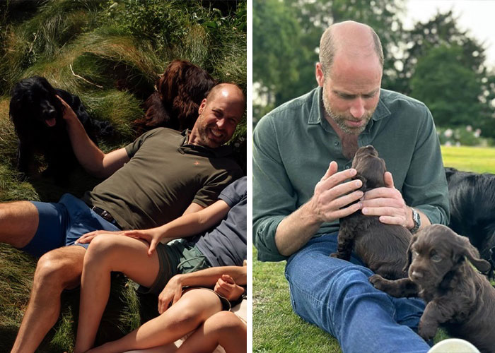 9 Details You Didn&rsquo;t Notice In William & Kate&rsquo;s 15th Anniversary Portrait