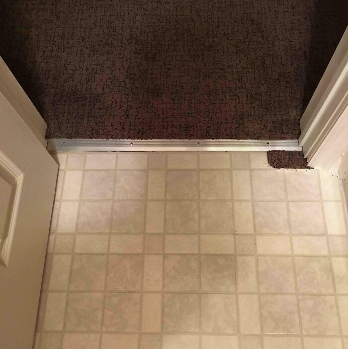 &ldquo;Concrete Overflowed Out Of The Toilet&rdquo;: Home Improvement Fails Ranging From Hilarious To Disastrous