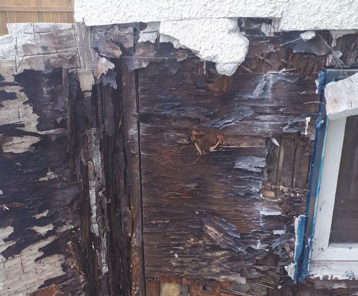 &ldquo;Concrete Overflowed Out Of The Toilet&rdquo;: Home Improvement Fails Ranging From Hilarious To Disastrous