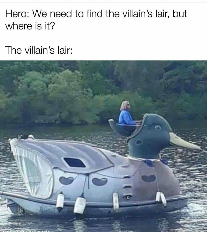 83 Funny Bird Memes For Those Who&rsquo;ve Entered Their &ldquo;Wait, What Bird Is That?&rdquo; Era