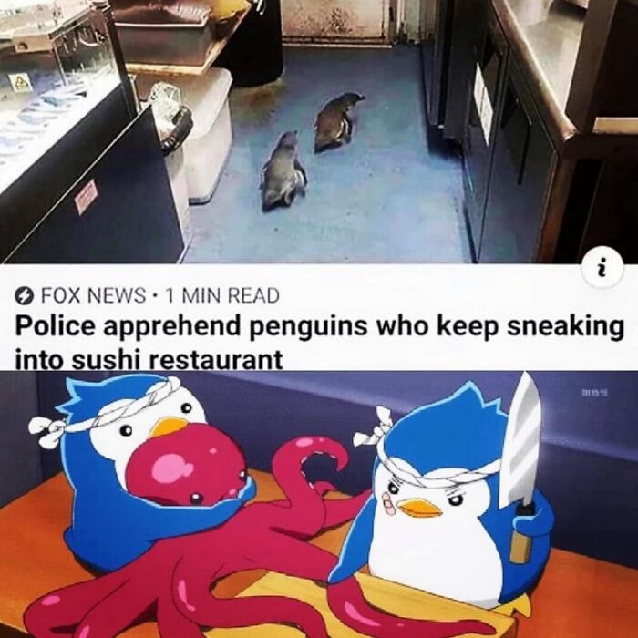 83 Funny Bird Memes For Those Who&rsquo;ve Entered Their &ldquo;Wait, What Bird Is That?&rdquo; Era