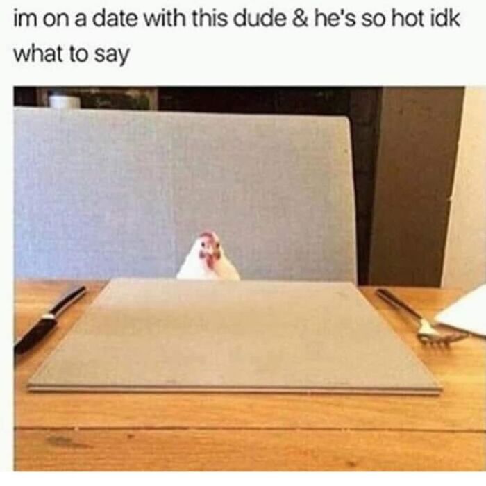 83 Funny Bird Memes For Those Who&rsquo;ve Entered Their &ldquo;Wait, What Bird Is That?&rdquo; Era