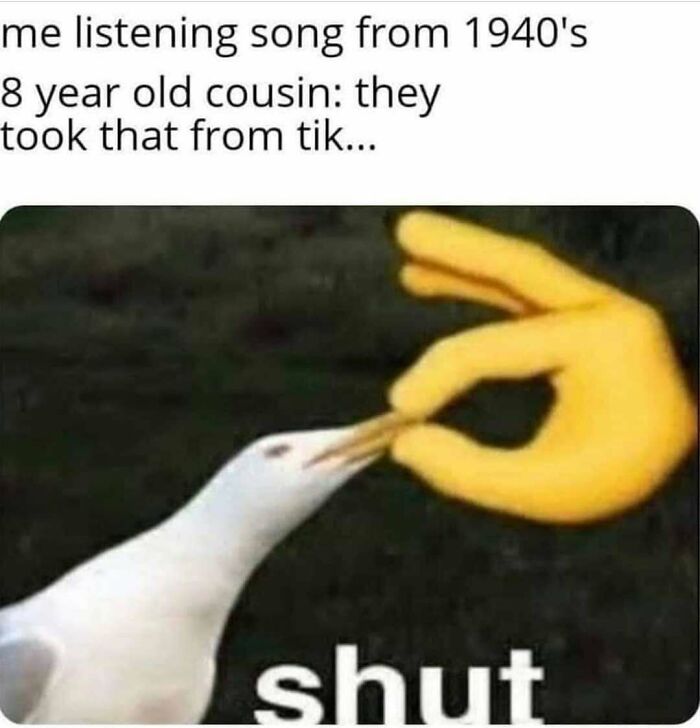 83 Funny Bird Memes For Those Who&rsquo;ve Entered Their &ldquo;Wait, What Bird Is That?&rdquo; Era