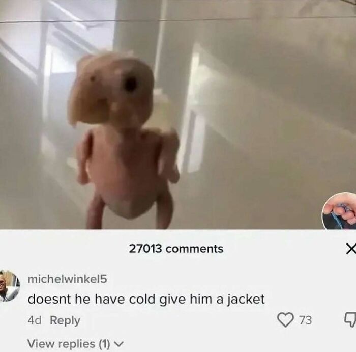 83 Funny Bird Memes For Those Who&rsquo;ve Entered Their &ldquo;Wait, What Bird Is That?&rdquo; Era