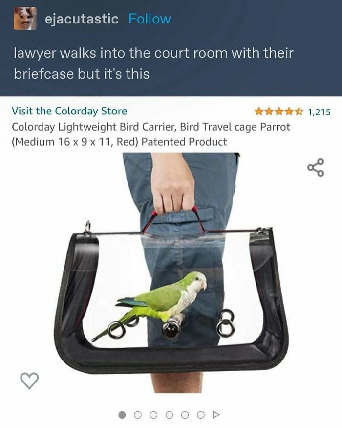 83 Funny Bird Memes For Those Who&rsquo;ve Entered Their &ldquo;Wait, What Bird Is That?&rdquo; Era