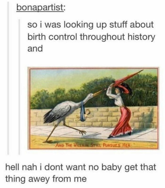 83 Funny Bird Memes For Those Who&rsquo;ve Entered Their &ldquo;Wait, What Bird Is That?&rdquo; Era