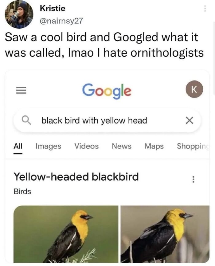 83 Funny Bird Memes For Those Who&rsquo;ve Entered Their &ldquo;Wait, What Bird Is That?&rdquo; Era