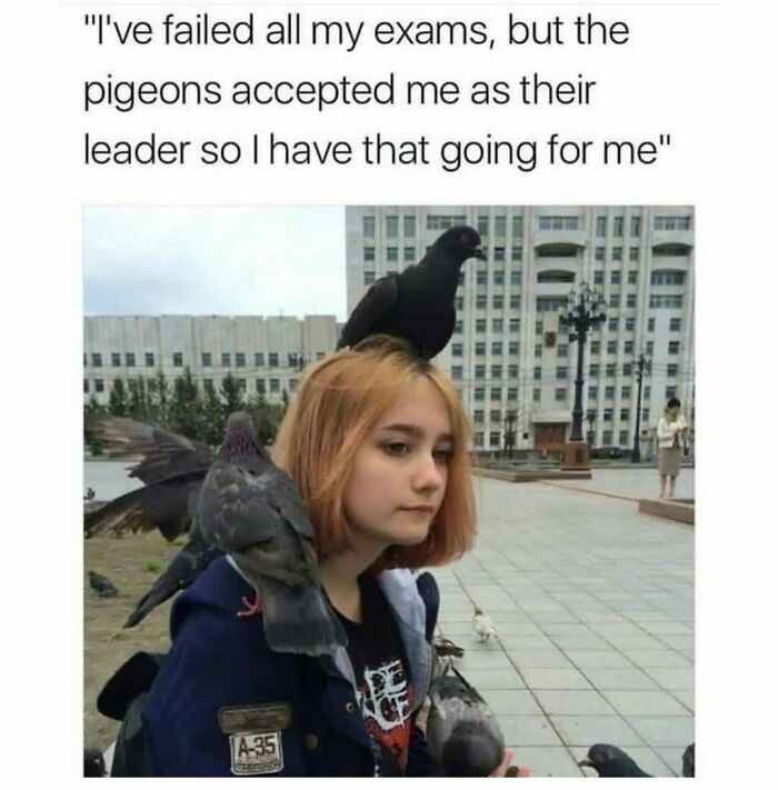 83 Funny Bird Memes For Those Who&rsquo;ve Entered Their &ldquo;Wait, What Bird Is That?&rdquo; Era