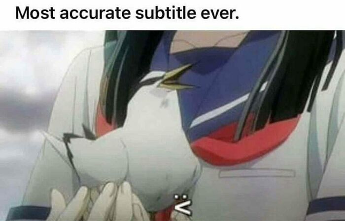 83 Funny Bird Memes For Those Who&rsquo;ve Entered Their &ldquo;Wait, What Bird Is That?&rdquo; Era