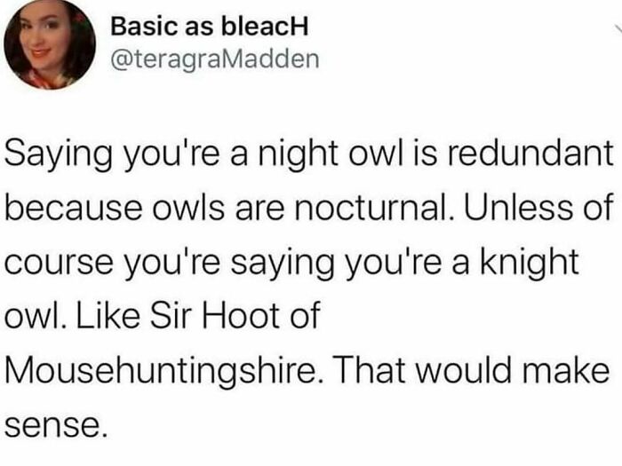 83 Funny Bird Memes For Those Who&rsquo;ve Entered Their &ldquo;Wait, What Bird Is That?&rdquo; Era
