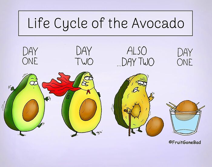 39 Playfully Mischievous Comics That Bring Produce And Random Items To Life, By This Artist (New Pics)