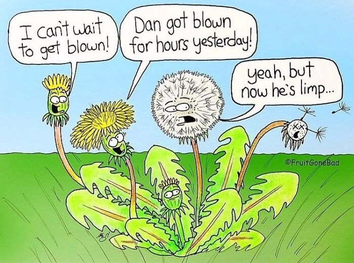 39 Playfully Mischievous Comics That Bring Produce And Random Items To Life, By This Artist (New Pics)