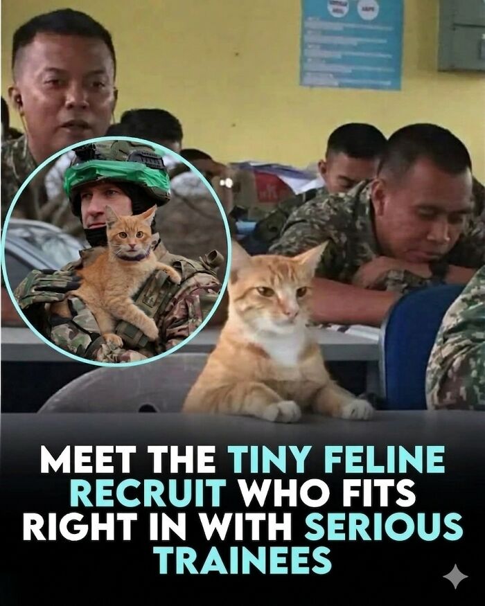 24 Fascinating Animal Facts From ‘Around The World’
