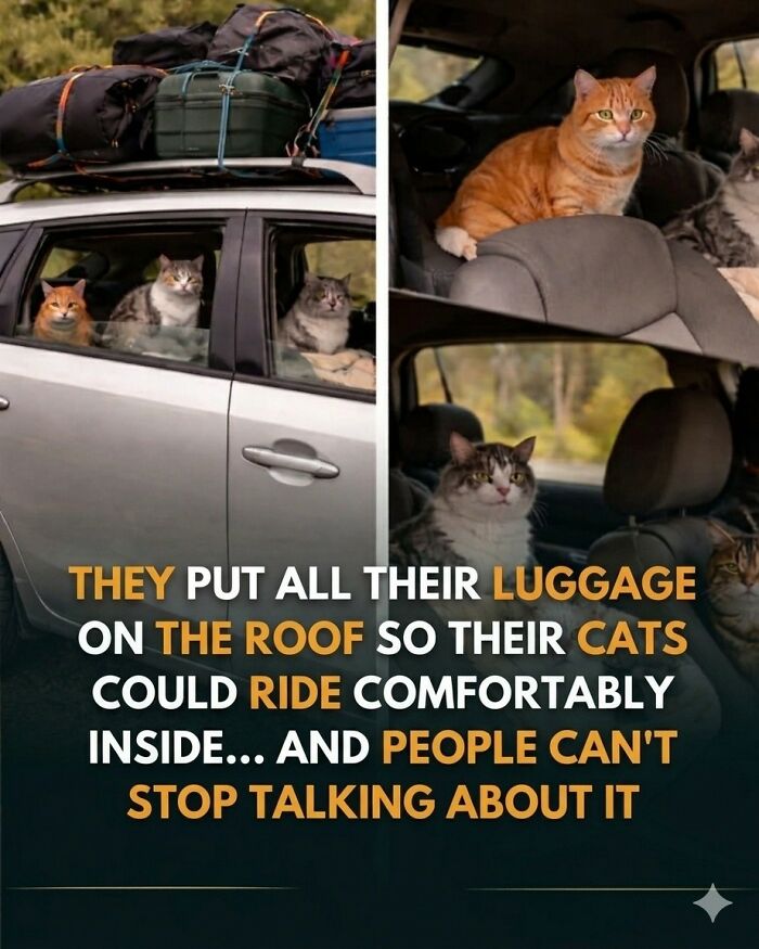 24 Fascinating Animal Facts From ‘Around The World’
