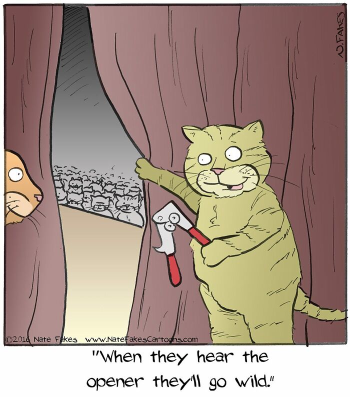 26 Funny Comics That Perfectly Capture The Strange World Of Cats
