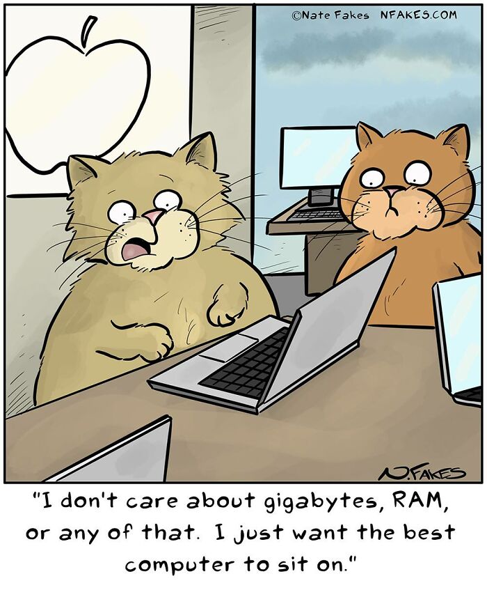 26 Funny Comics That Perfectly Capture The Strange World Of Cats