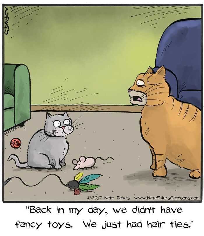 26 Funny Comics That Perfectly Capture The Strange World Of Cats