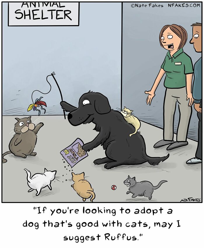 26 Funny Comics That Perfectly Capture The Strange World Of Cats