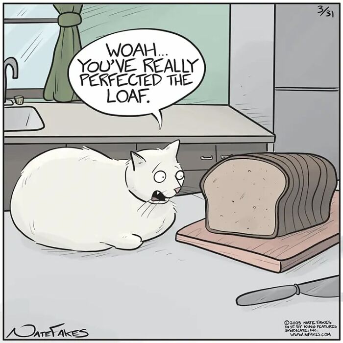 26 Funny Comics That Perfectly Capture The Strange World Of Cats
