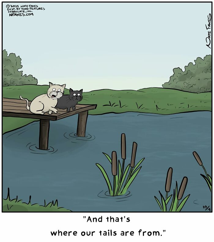 26 Funny Comics That Perfectly Capture The Strange World Of Cats