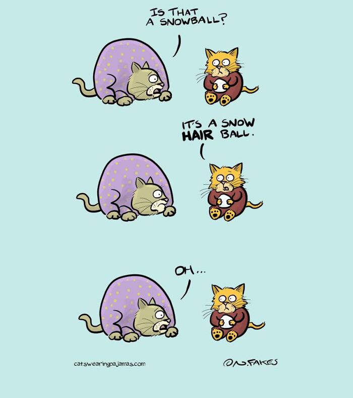 26 Funny Comics That Perfectly Capture The Strange World Of Cats