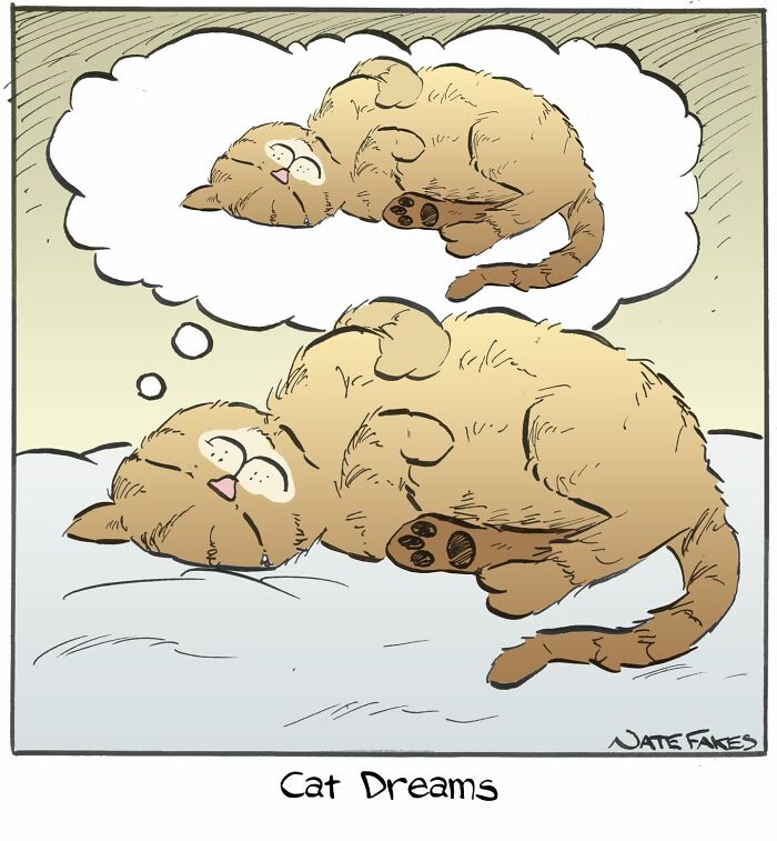26 Funny Comics That Perfectly Capture The Strange World Of Cats