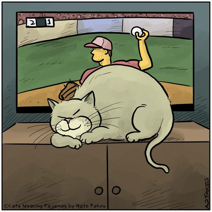 26 Funny Comics That Perfectly Capture The Strange World Of Cats