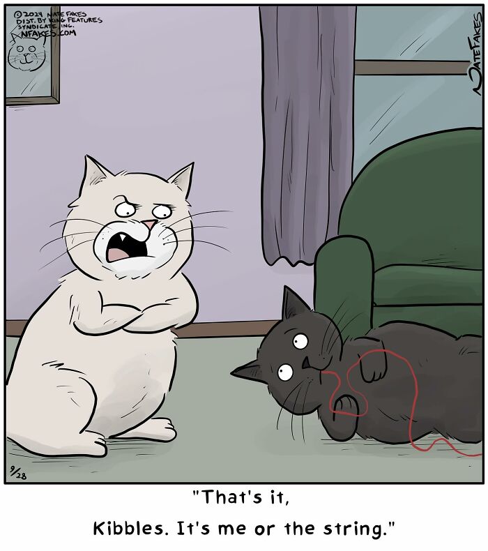 26 Funny Comics That Perfectly Capture The Strange World Of Cats
