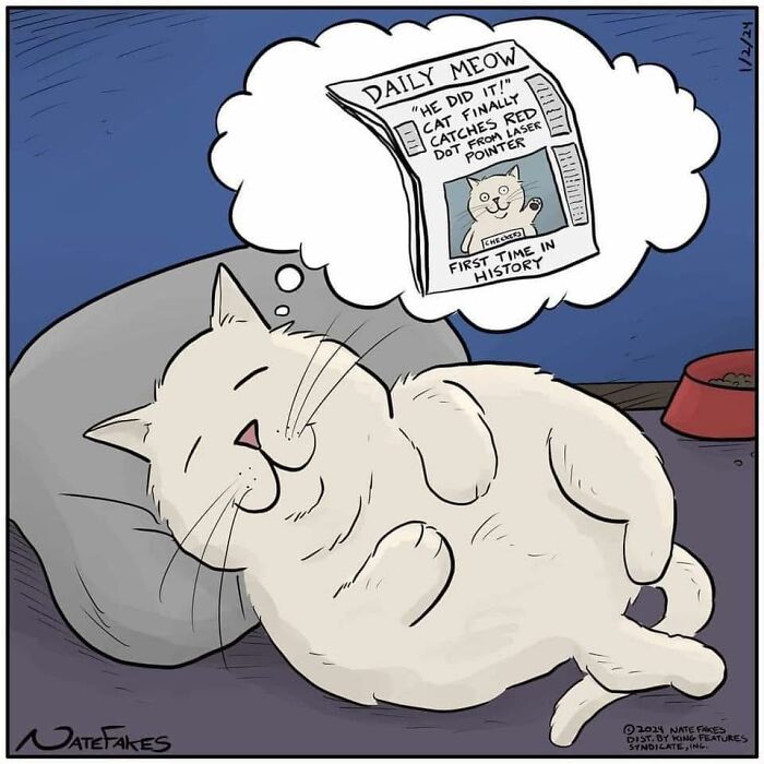 26 Funny Comics That Perfectly Capture The Strange World Of Cats