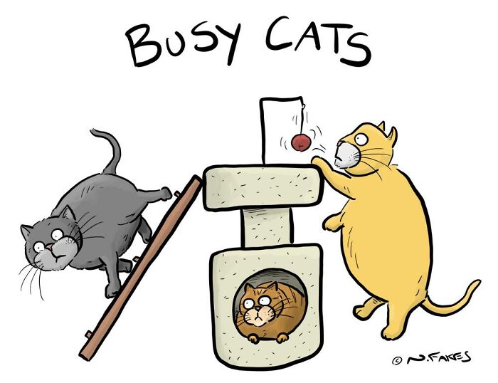 26 Funny Comics That Perfectly Capture The Strange World Of Cats