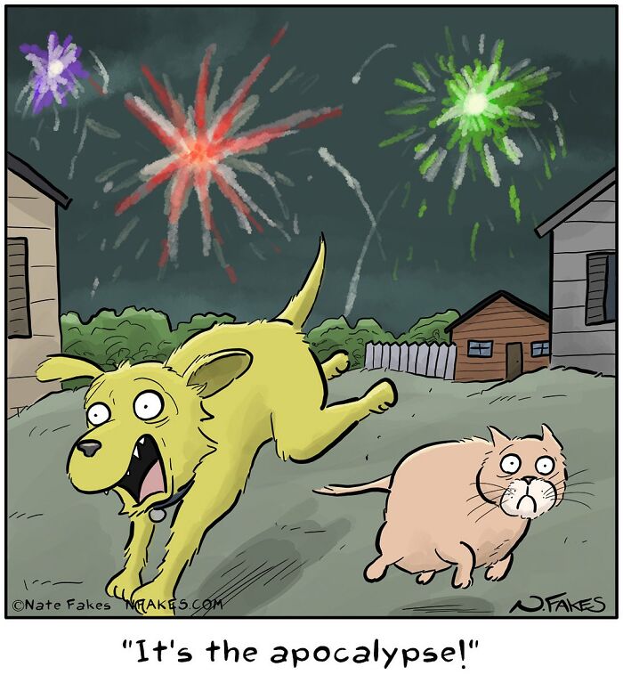 26 Funny Comics That Perfectly Capture The Strange World Of Cats
