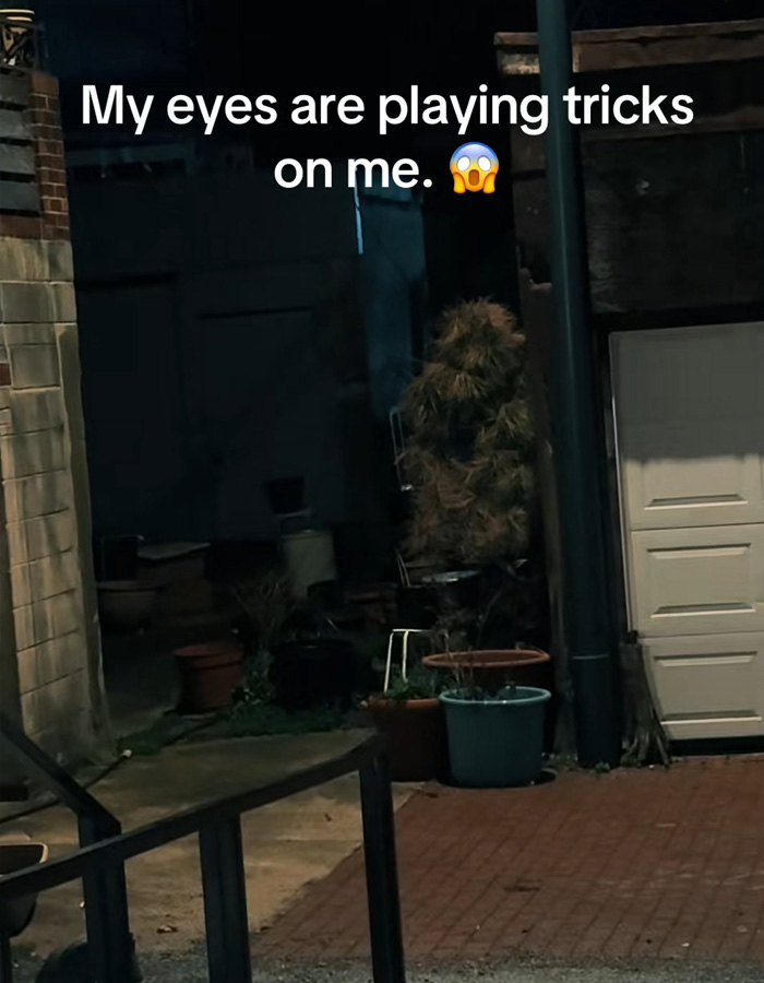 “You See The Face, Right?”: Figure Lurking In DC Woman’s Back Alley At Night Racks Up Over 1M Views