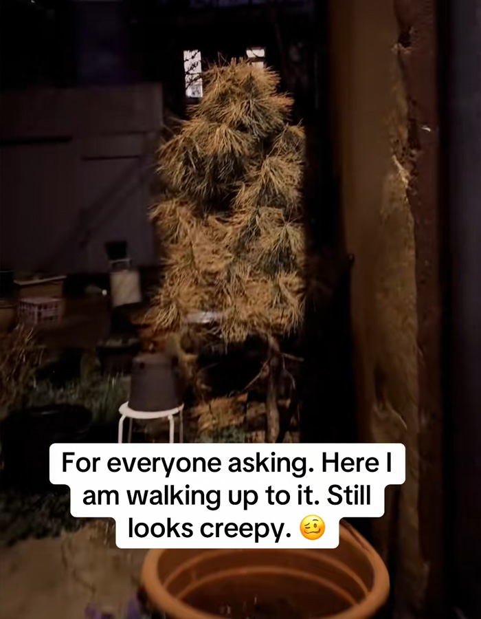 “You See The Face, Right?”: Figure Lurking In DC Woman’s Back Alley At Night Racks Up Over 1M Views
