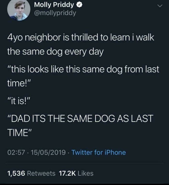 53 Times A Kid Did Something So Dumb And Funny Their Parents Had To Share It (New Pics)
